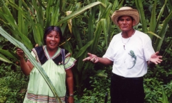 MARIA AND ALEJANDRO
